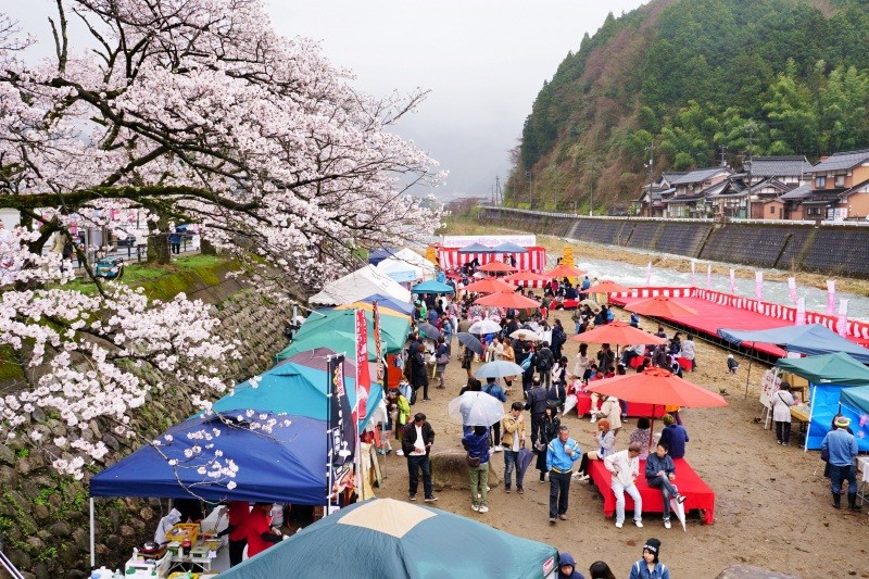 智頭河畔 桜Cafeフェスティバル