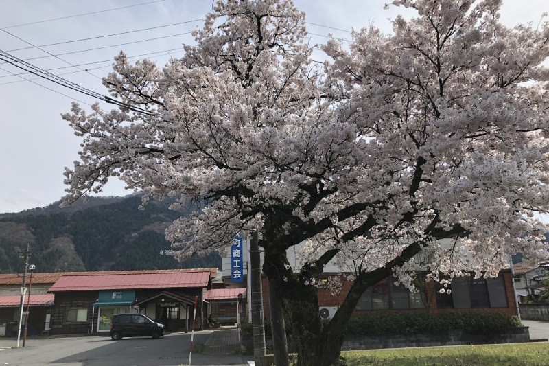 若桜鉄道　丹比駅