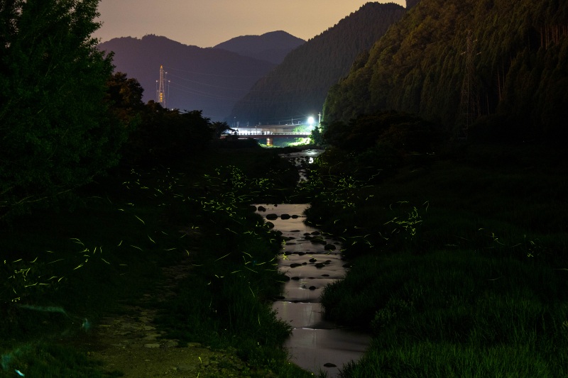 画像提供　若桜町観光協会