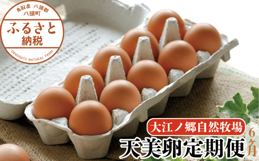 【6か月定期便】平飼い天美卵30個〈大江ノ郷自然牧場より直送〉