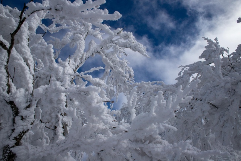 NEW】雪景色若桜町｜鳥取市観光サイト【公式】 - 鳥取市の