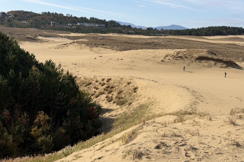 追後スリバチ　©TRAIL ON