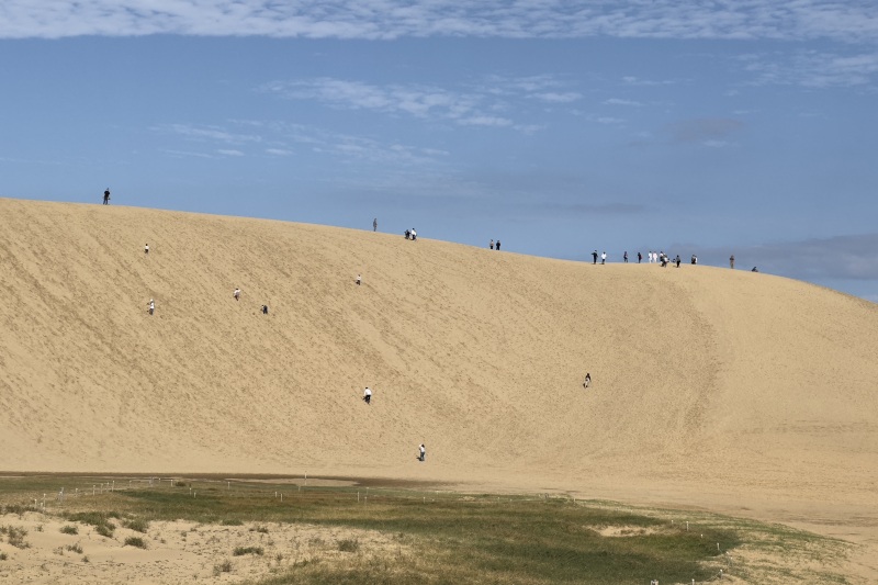 馬の背　©TRAIL ON