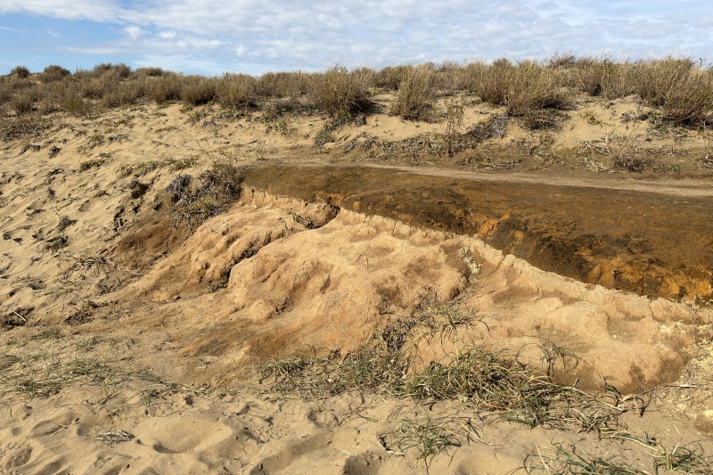 火山灰露出地　©TRAIL ON