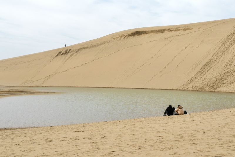 鳥取砂丘オアシス　©TRAIL ON