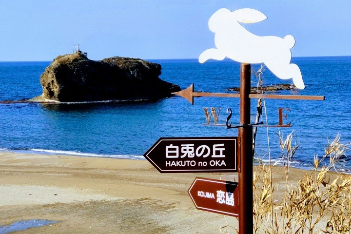 【1泊2日】鳥取市横断！山と海と砂丘の絶景スポットを巡ろう