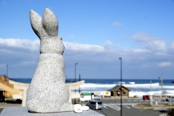 【12時間】山陰海岸ジオパークを巡る旅　～白兎海岸・鳥取砂丘…