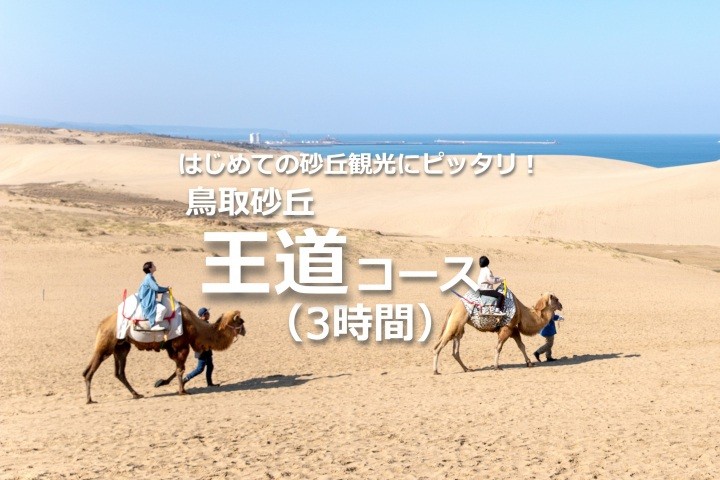 【3時間】鳥取砂丘王道モデルコース