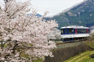 【8時間】智頭急行沿線を散策しながら鳥取へ！ローカル鉄道の旅