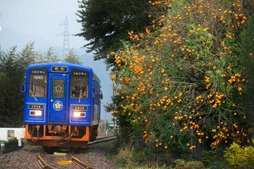 【9時間】若桜鉄道沿線を散策！ローカル鉄道の旅