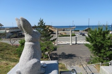 【3時間半】鳥取砂丘と白兎神社まいり