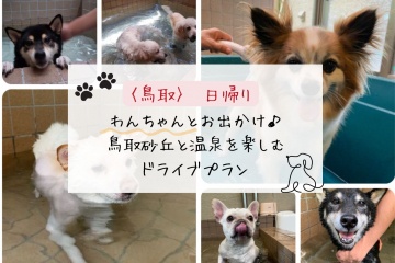 【ペットと楽しむ：日帰り】わんちゃんとお出かけ♪鳥取砂丘と…