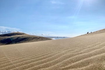 【5時間】鳥取砂丘と日本遺産構成文化財(天然記念物)をめぐ…
