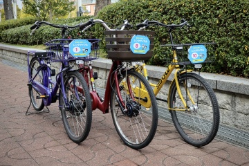 【2泊3日】鳥取市　レンタサイクルで巡る！満腹グルメ旅　コース