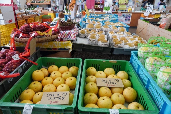 道の駅はっとう・フルーツ総合センター