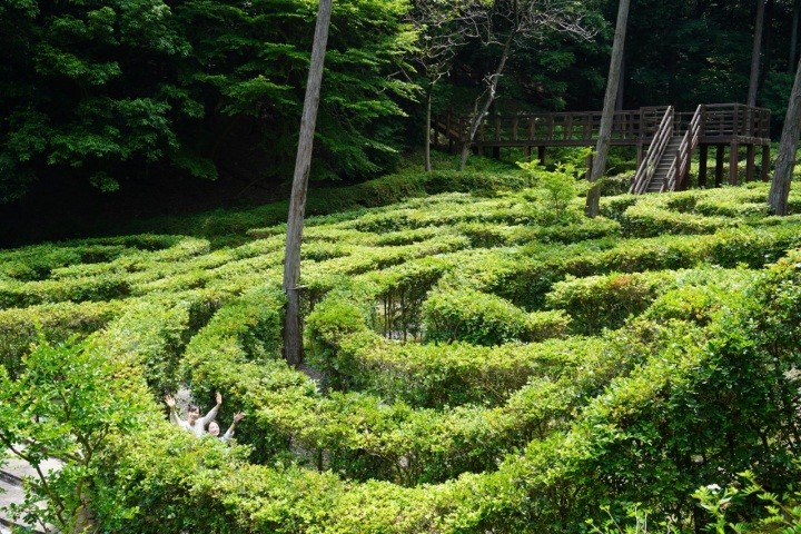 森林公園　とっとり出合いの森