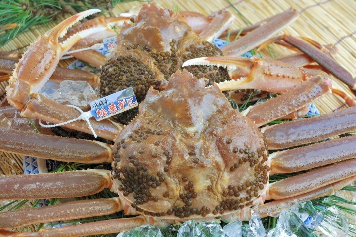 【ランチ】兵庫県新温泉町浜坂エリアで昼食