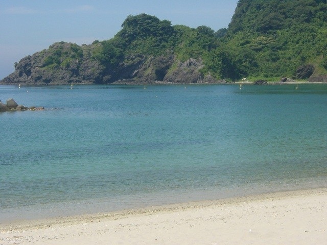 諸寄