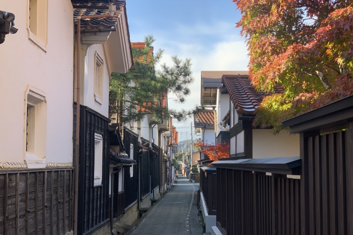 漫步若櫻宿街道