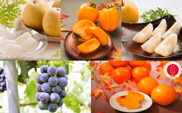 [ Undefined: spot-title-plain ]