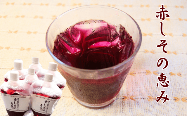 [ Undefined: spot-title-plain ]