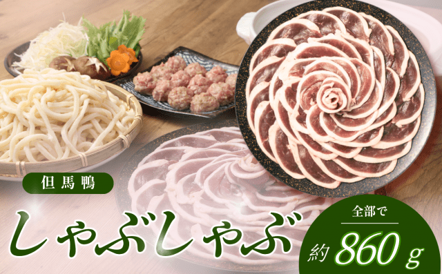 [ Undefined: spot-title-plain ]