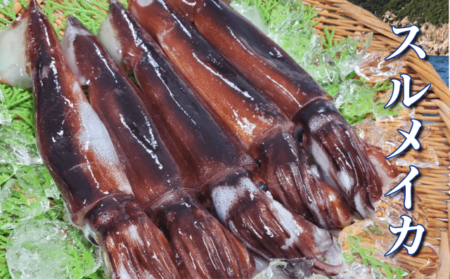 [ Undefined: spot-title-plain ]