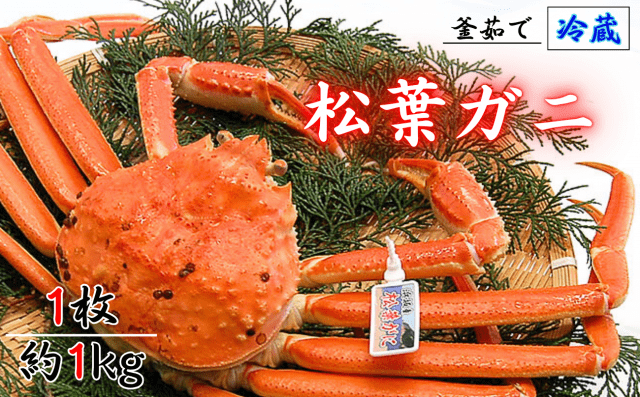 [ Undefined: spot-title-plain ]