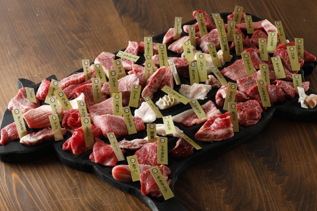 [ Undefined: spot-title-plain ]