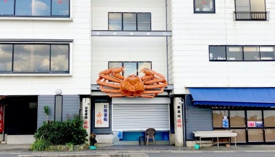 [ Undefined: spot-title-plain ]