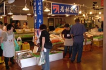 [ Undefined: spot-title-plain ]