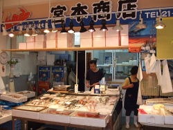 [ Undefined: spot-title-plain ]