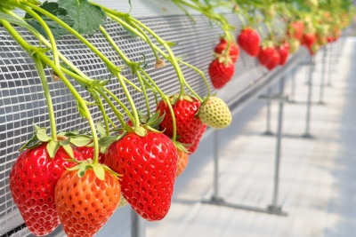 [ Undefined: spot-title-plain ]