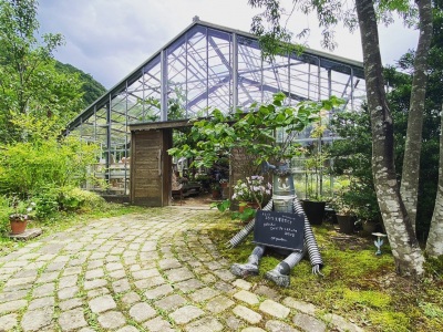 [ Undefined: spot-title-plain ]