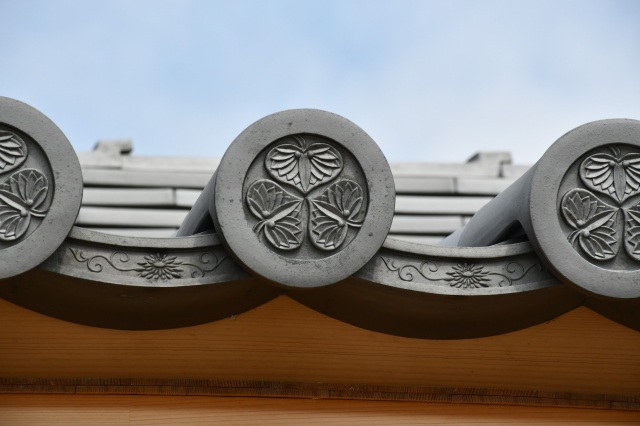 [ Undefined: spot-title-plain ]