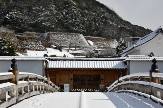 ※以前に撮影したものです。