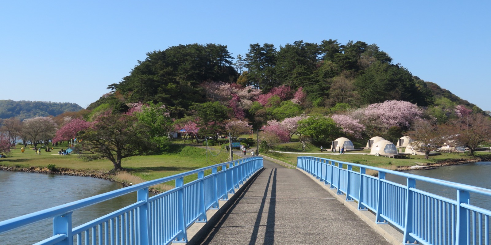 鳥取市内のお花見といえばココ！おすすめ桜スポット