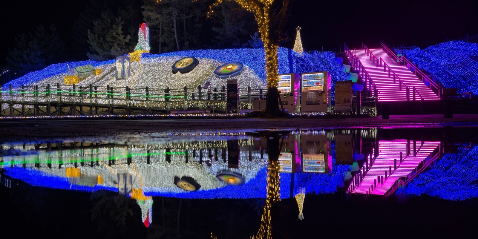 12月14日(日)~28日(日)開催!