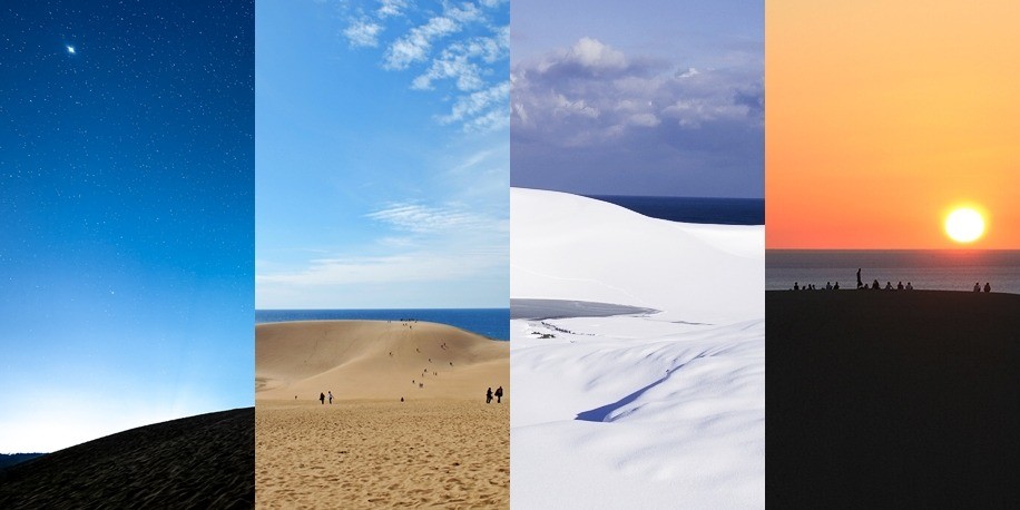 四季や季節で変わりゆく鳥取砂丘の魅力
