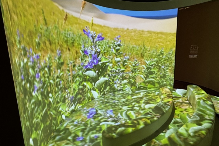 「すなくら」がリニューアルオープン！鳥取砂丘ビジターセンター