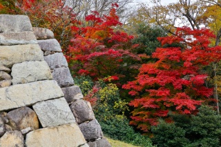 鳥取城跡・久松公園
