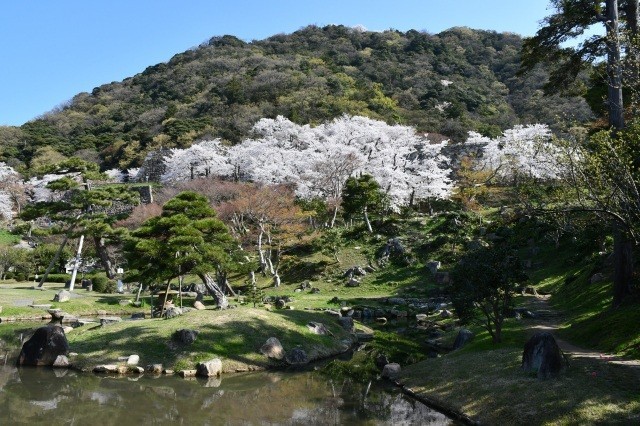 仁風閣敷地内にある宝隆院庭園