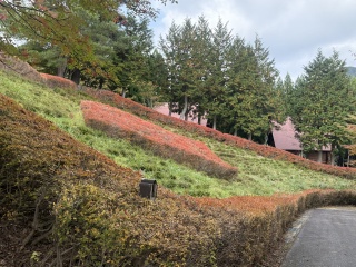 安蔵森林公園