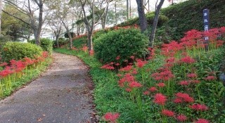 鹿野城跡