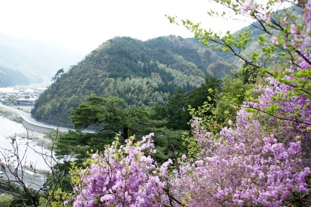 愛宕山公園からの眺め