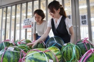 地場産プラザ　わったいな