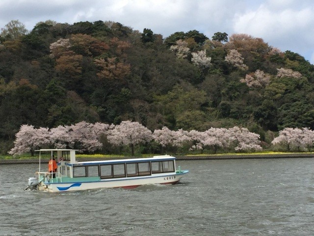 湖山池遊覧船