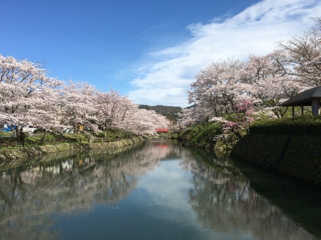 鹿野桜まつり