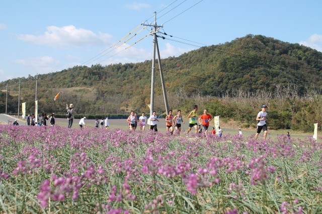 鳥取砂丘らっきょう花マラソン大会