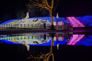 鳥取砂丘イリュージョン2025